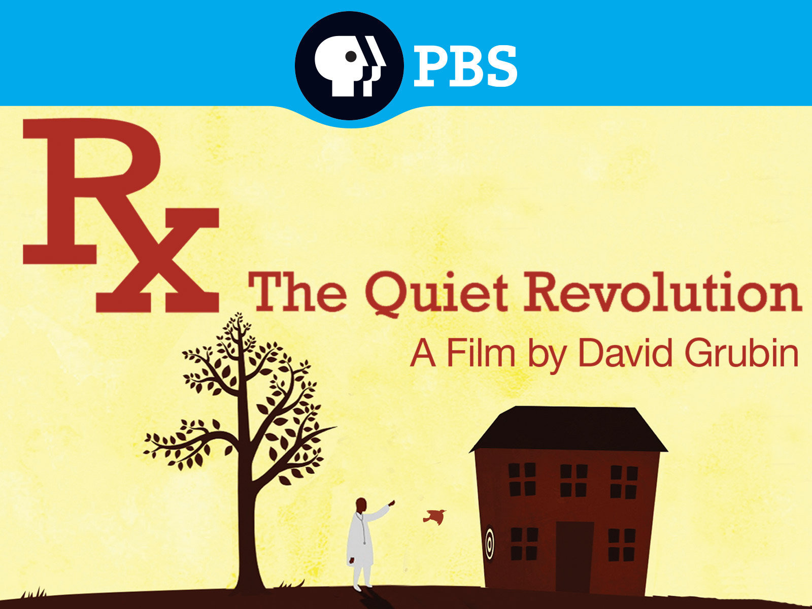 Prime Video: Rx: The Quiet Revolution for How To Optimize Diy In Small Spaces