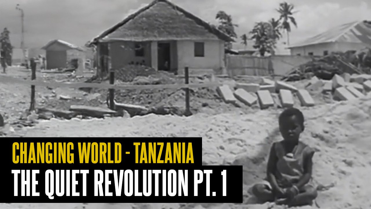 Tanzania: The Quiet Revolution Pt. 1 - Roots Preserved for How To Optimize Diy In Small Spaces
